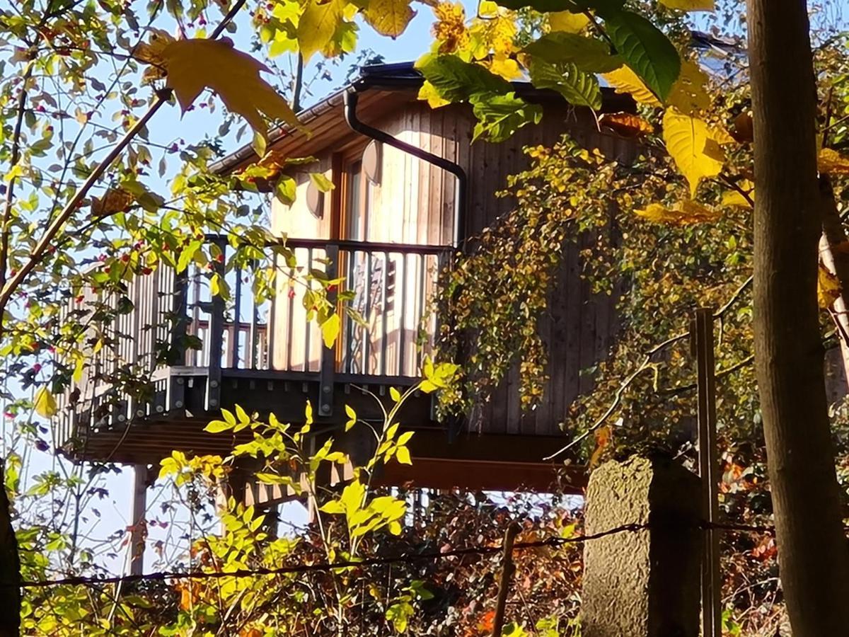 Hotel Waldquelle - Baumhaushotel Aerzen Bagian luar foto