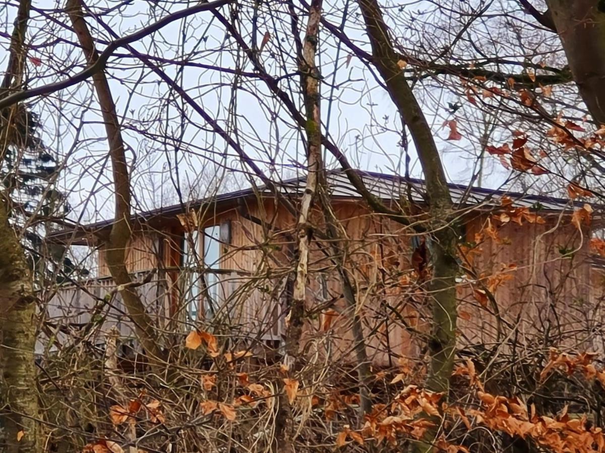 Hotel Waldquelle - Baumhaushotel Aerzen Bagian luar foto