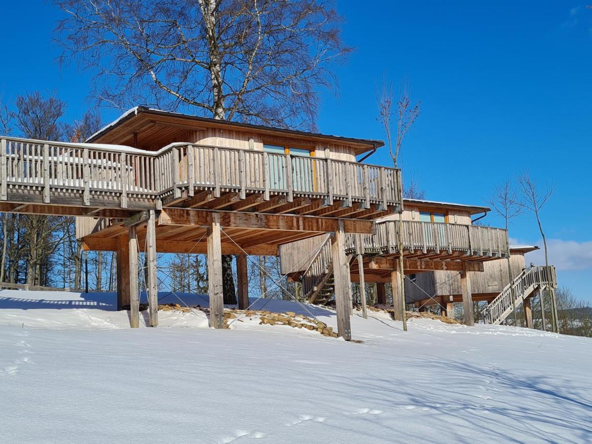Hotel Waldquelle - Baumhaushotel Aerzen Bagian luar foto