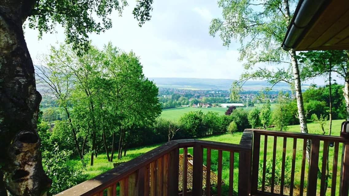 Hotel Waldquelle - Baumhaushotel Aerzen Bagian luar foto